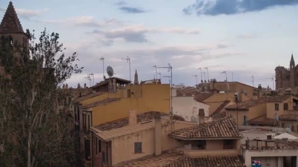 Panoramiczny Timelapse Palma Mallorca 360 Widoki Stare Miasto Zmierzch Majorce — Wideo stockowe