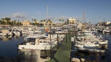 Palma de mallorca balear adalarının portresini gösteren zaman aralığı. Akdeniz Avrupa 'daki İspanya