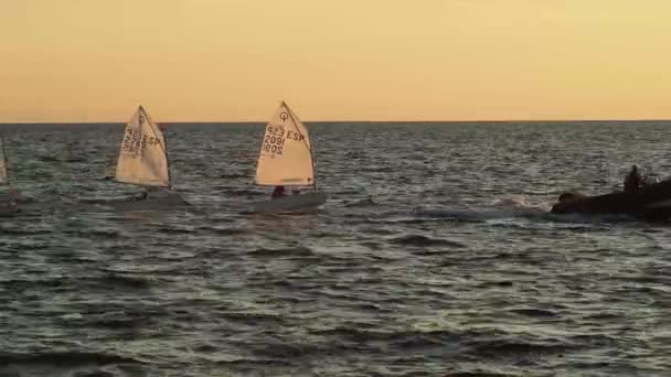Cadetes Marinhos Dia Ensolarado Divertindo Mar Lancha Puxando Pequenos Barcos — Vídeo de Stock