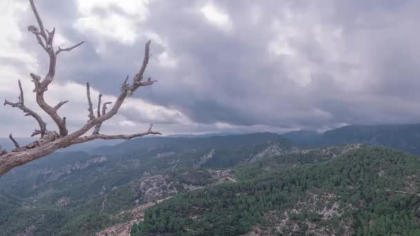 Timelapse Στο Βουνό Καταιγίδα Και Ορμητικά Σύννεφα Castillo Alaro Μαγιόρκα — Αρχείο Βίντεο