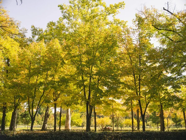 Parchi Giardini Palazzo Aranjuez Madrid Spagna Europa — Foto Stock