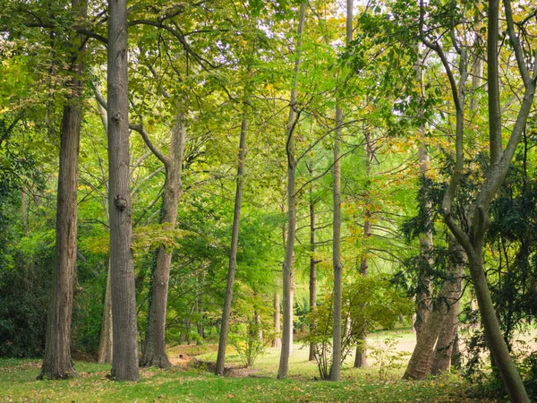 Parklar, bahçeler ve Aranjuez Sarayı, Madrid, İspanya, Avrupa