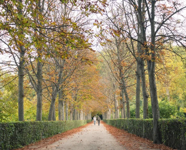 Parchi Giardini Palazzo Aranjuez Madrid Spagna Europa — Foto Stock