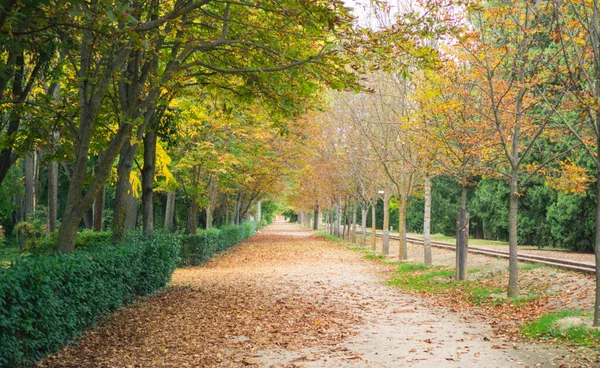 Parchi Giardini Palazzo Aranjuez Madrid Spagna Europa — Foto Stock