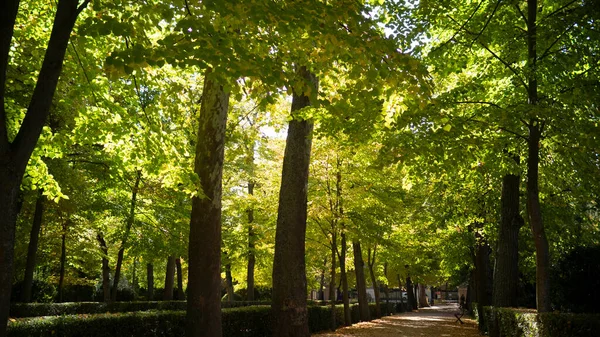 Parchi Giardini Palazzo Aranjuez Madrid Spagna Europa — Foto Stock