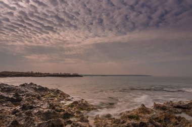 Tarlada eski bir duvar var.