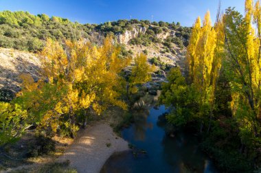 Tarlada eski bir duvar var.