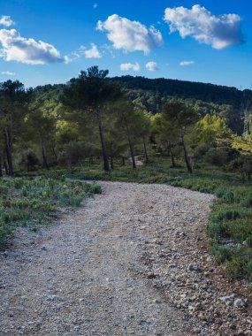Tarlada eski bir duvar var.