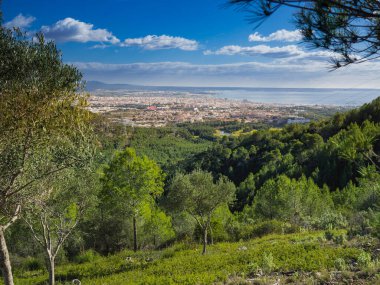 Tarlada eski bir duvar var.