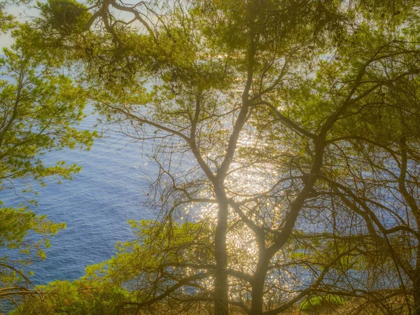 Zonsondergang Bij Het Strand Majorca Palma Balearische Eilanden Espaa — Stockfoto