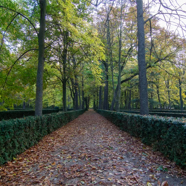 Sonbaharda aranjuez bahçeleri, kırmızı yapraklar, altın yapraklar, park bankı