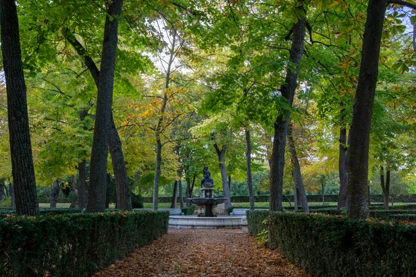 Giardini Aranjuez Autunno Foglie Rosse Foglie Dorate Panchina Del Parco — Foto Stock