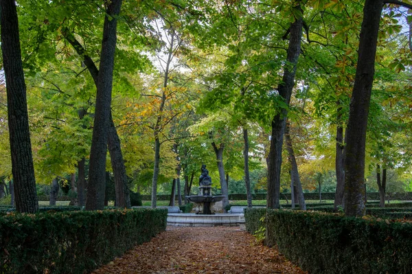 Sonbaharda aranjuez bahçeleri, kırmızı yapraklar, altın yapraklar, park bankı