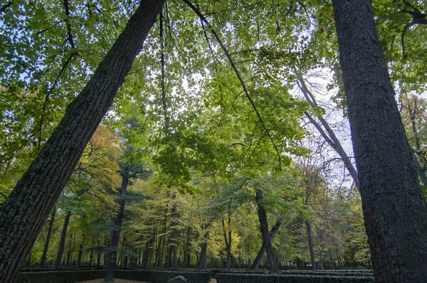 Sonbaharda aranjuez bahçeleri, kırmızı yapraklar, altın yapraklar, park bankı