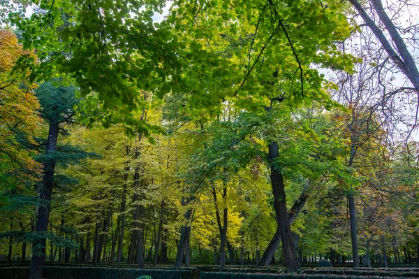 Giardini Aranjuez Autunno Foglie Rosse Foglie Dorate Panchina Del Parco — Foto Stock