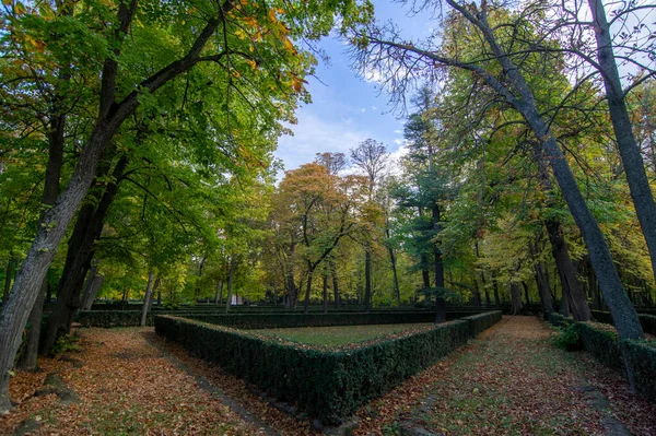 Giardini Aranjuez Autunno Foglie Rosse Foglie Dorate Panchina Del Parco — Foto Stock