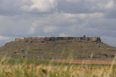 Tarlada eski bir duvar var.