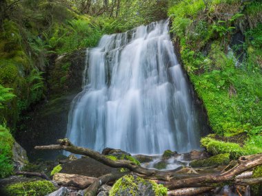 Tarlada eski bir duvar var.