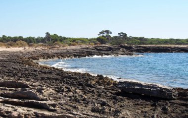 Plajlar ve koylar, deniz suyu, denizler ve okyanuslar, sahil kenarında tatil.