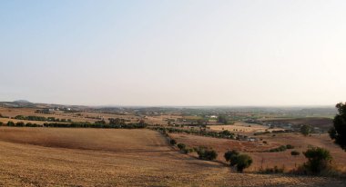 Baharda yapraklı orman yolları, çam ağaçları, çiçekler, doğa, sonbahar, bahar, yeşillik, çalılıklarda yürü.