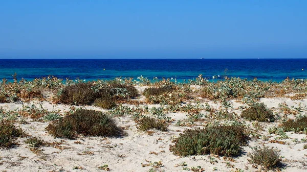 Stränder Och Vikar Havsvatten Hav Och Oceaner Semester Vid Stranden — Stockfoto