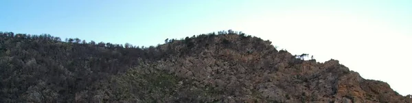 Baharda yapraklı orman yolları, çam ağaçları, çiçekler, doğa, sonbahar, bahar, yeşillik, çalılıklarda yürü.