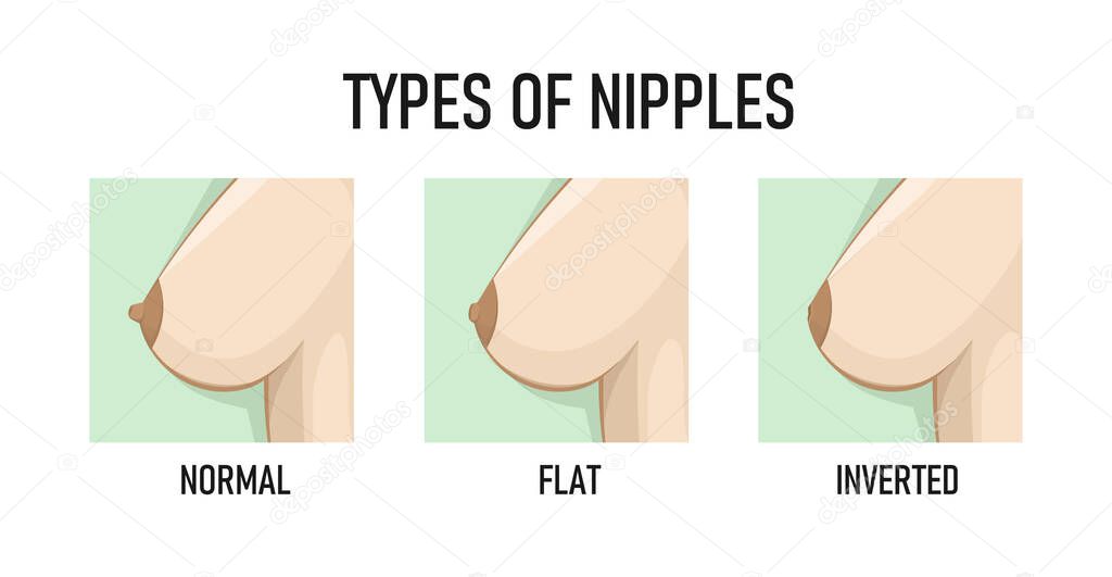 Types of Nipples. Vector illustration