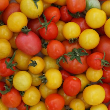 Kırmızı ve sarı vişne arkaplan domates