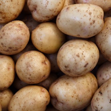 Taze patates arkaplanı. Patates çeşitliliği