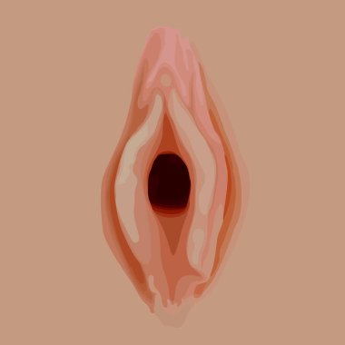 Human vagina, vaginal opening or female reproductive sex organ clipart