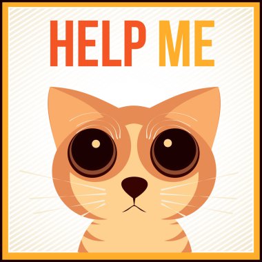 Cat yardım için yalvarıyor