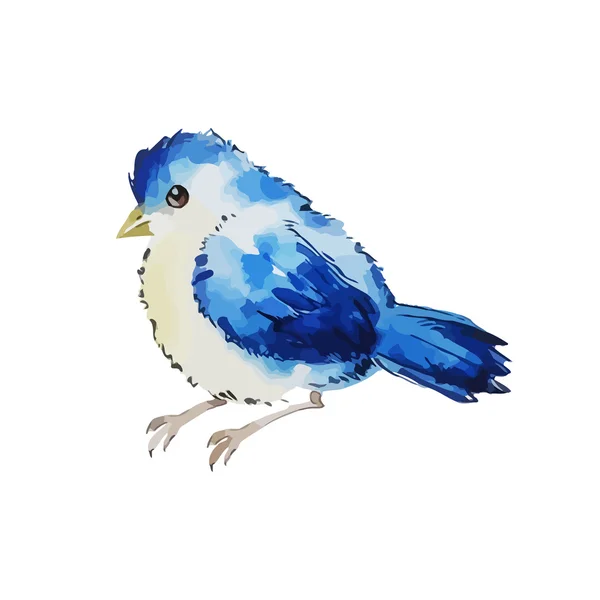 Watercolor blue bird — Stock Vector