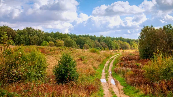 Fall Landscape: Rural path in autumn beautiful forest.