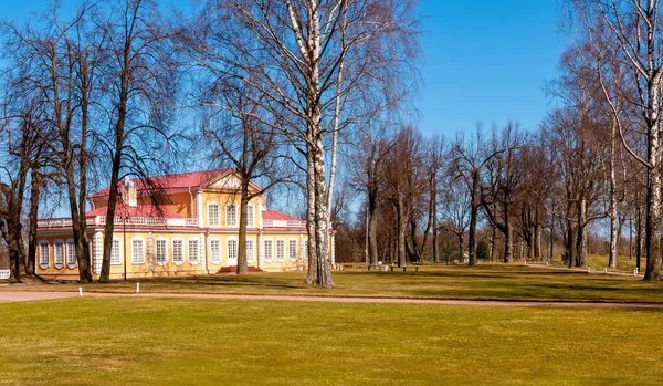 Palacio Pedro Strelna San Petersburgo Rusia Palacio Pedro Grande Uno —  Fotos de Stock