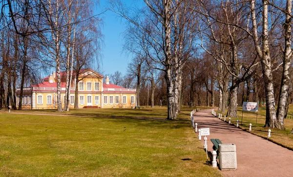 르나에 상트페테르부르크 러시아 피에트로 대왕의 궁전은 상트페테르부르크 교외에 피터르 건물들 — 스톡 사진
