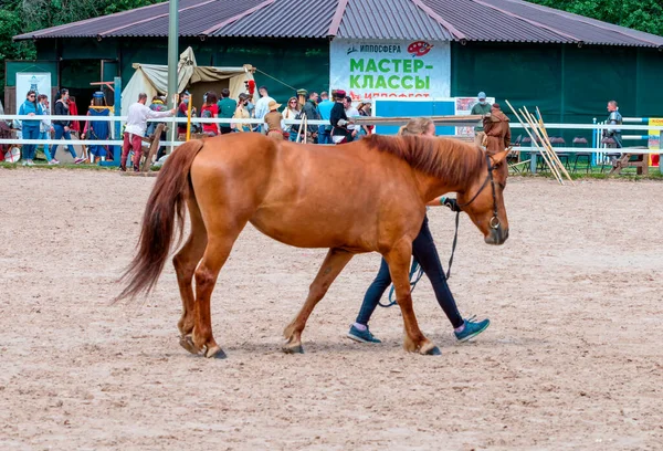 Saint Petersburg June 2021 Xxii International Equestrian Exhibition Hipposphere Forum — Stock Photo, Image