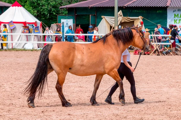 Saint Petersburg June 2021 Xxii International Equestrian Exhibition Hipposphere Forum — Stock Photo, Image