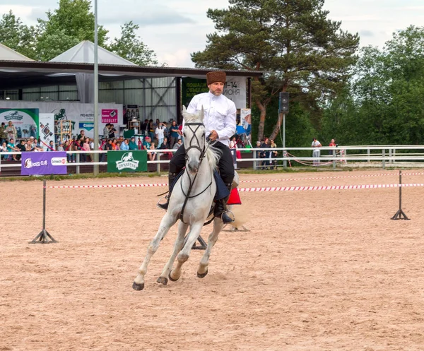 Kuban Cossack Horse Performing Tricks Open Air Xxii International Equestrian — Stock Photo, Image