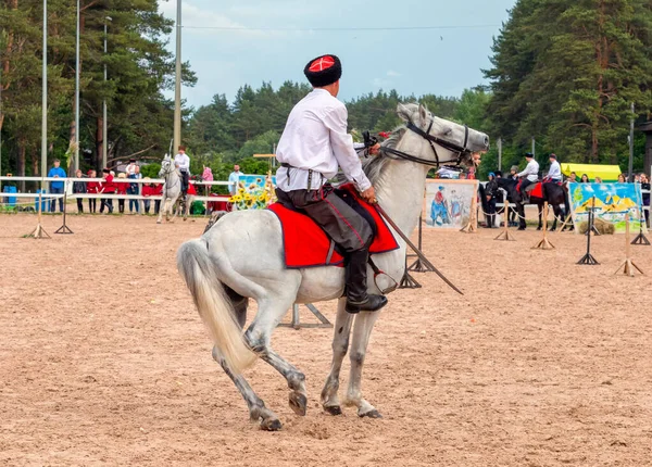 Kuban Cossaco Cavalo Executando Truques Livre Xxii Exposição Equestre Internacional — Fotografia de Stock