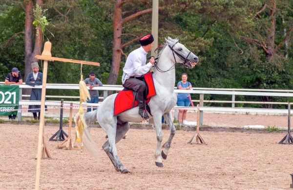 Kuban Cossack Horse Performing Tricks Open Air Xxii International Equestrian — Stock Photo, Image