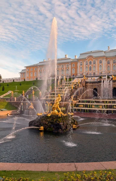 Peterhof Daki Samson Çeşmesi Peterhof Rusya Eylül 2021 — Stok fotoğraf