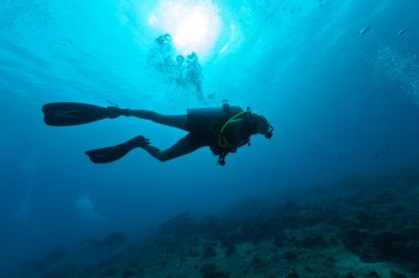 Kadın scuba diver siluet su altında
