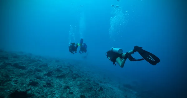 Grupo de buceadores submarinos — Foto de Stock