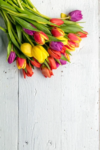Tulipanes frescos dispuestos sobre fondo de madera viejo — Foto de Stock
