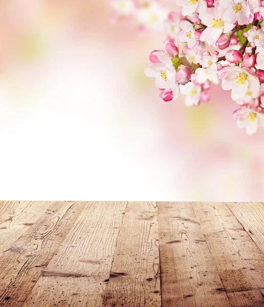 Cherry blossoms with empty wooden planks — Stock Photo, Image