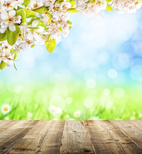 Fiori di ciliegio con assi di legno vuote — Foto Stock