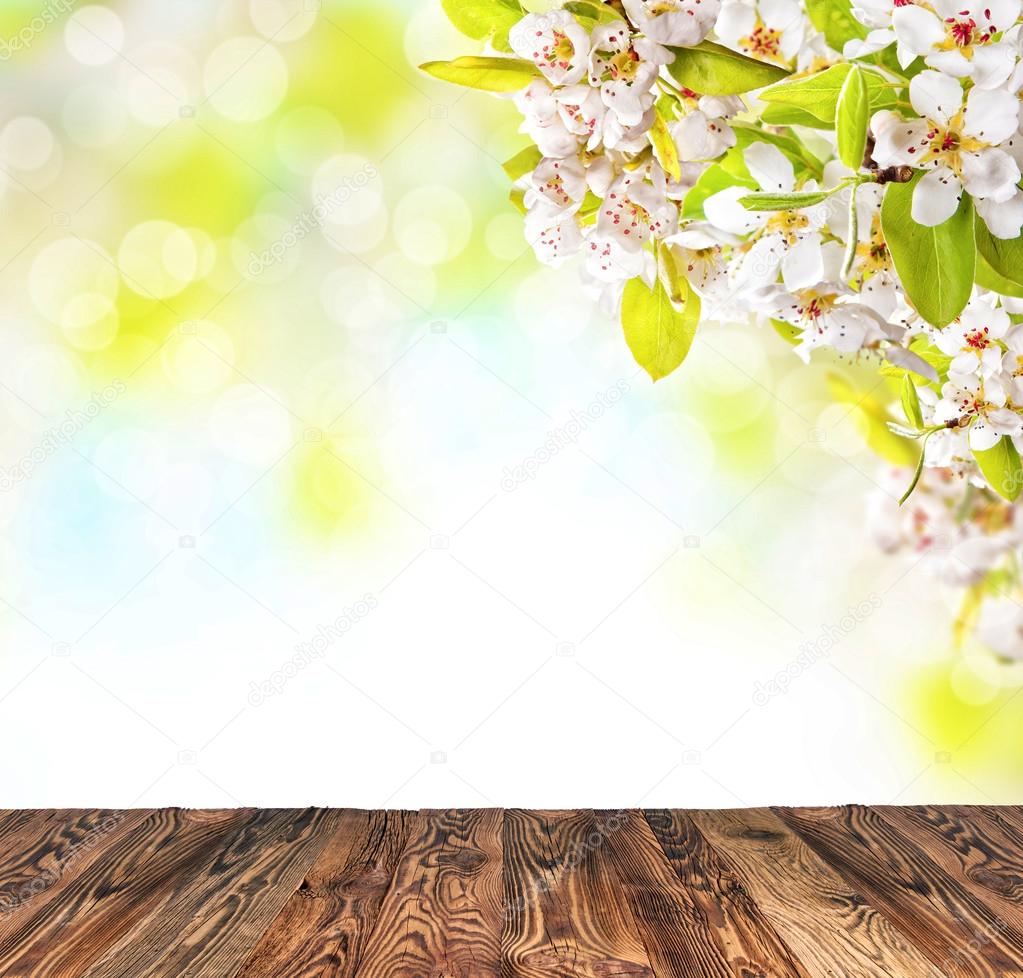 Cherry blossoms with empty wooden planks