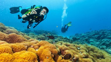 Scuba diver keşfetmek ok işaret gösteren bir mercan kayalığı