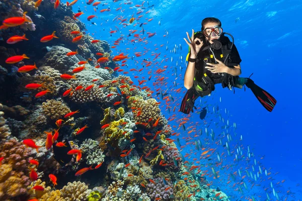 Scuba diver verkennen een koraalrif weergegeven: ok teken — Stockfoto