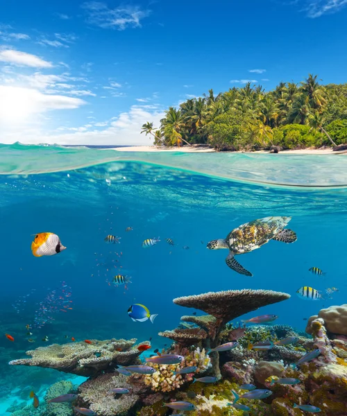 Unterwasserkorallenriff mit tropischer Insel — Stockfoto